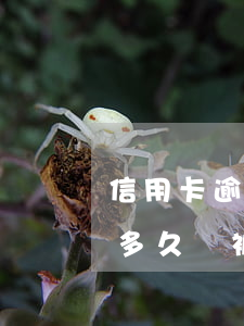 信用卡逾期多少欠款會被傳喚(欠信用卡逾期多久會被起訴)