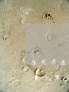 信用卡逾期多少次會被拉黑(信用卡幾次逾期會上黑名單)