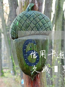 信用卡逾期多少次會變黑戶(信用欠信用卡多久成為黑名單)