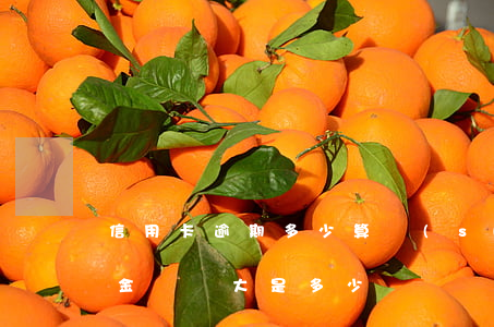 信用卡逾期多少算數(shù)額較大(逾期金額較大是多少)