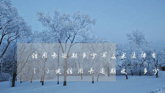 信用卡逾期多少算立案(法律有沒有規(guī)定信用卡逾期收費多少)
