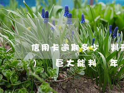 信用卡逾期多少萬判刑 欠信用卡數(shù)額巨大能判幾年