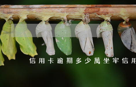 信用卡逾期多少萬坐牢(信用卡 逾期 坐牢)