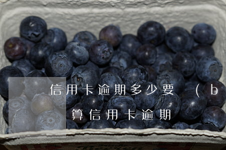信用卡逾期多少要報(bào)案-什么情況算信用卡逾期