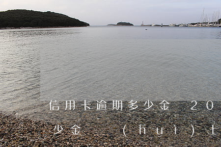 信用卡逾期多少金額2020 信用卡逾期多少金額會(huì)上門