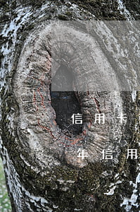 信用卡逾期多少金額付刑事責任-2021年信用卡逾期多少錢會坐牢