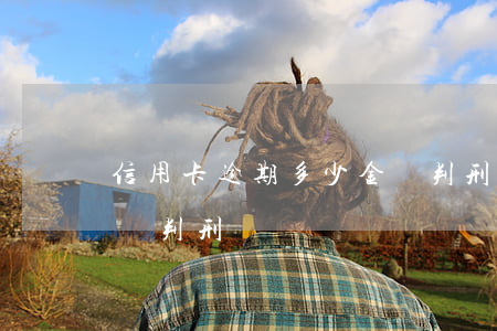 信用卡逾期多少金額判刑(信用卡逾期多少金額判刑)