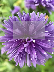信用卡逾期多少金額才會(huì)提起訴訟-信用卡逾期多少金額才會(huì)提起訴訟呢