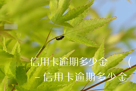 信用卡逾期多少金額達(dá)到起訴條件-信用卡逾期多少金額達(dá)到起訴條件呢