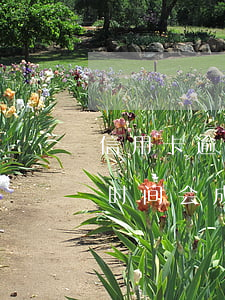 信用卡逾期多少金额会做成呆帐-逾期多长时间会成为呆账