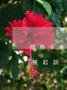 信用卡逾期多少銀行起訴(“信用卡逾期多久會被起訴”)