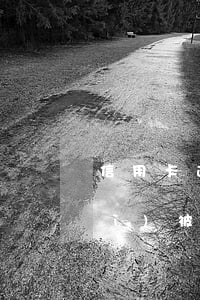 信用卡逾期多少錢(qián)才會(huì)被銀行起訴-信用卡逾期多少錢(qián)才會(huì)被銀行起訴呢