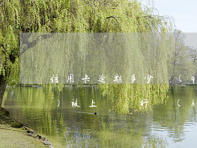 信用卡逾期多少錢(qián)會(huì)被上訴(銀行會(huì)起訴信用卡逾期嗎)