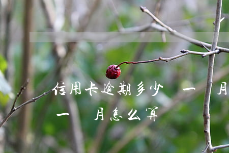 信用卡逾期多少錢一個月(信用卡逾期多少錢一個月怎么算)