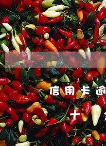 信用卡逾期多少錢不會例如老賴-欠信用卡幾十萬全部逾期還不了怎么辦