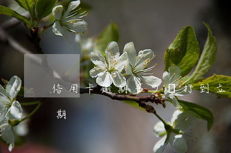 信用卡逾期多少錢打到立案(幾塊錢信用卡逾期)