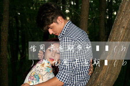 信用卡逾期多少錢會(huì)報(bào)警(信用卡逾期報(bào)警立案后會(huì)怎么樣)