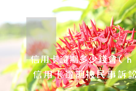 信用卡逾期多少錢會(huì)被起訴坐牢(信用卡逾期被民事訴訟會(huì)坐牢嗎)
