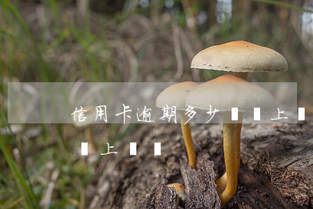 信用卡逾期多少錢會上門(信用卡逾期3千多會上門嗎)