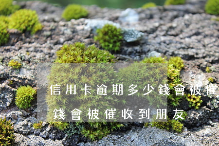 信用卡逾期多少錢會被催收(信用卡逾期多少錢會被催收到朋友)