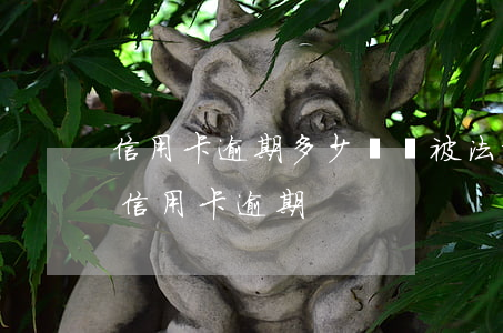 信用卡逾期多少錢會被法院起訴(法院如何判信用卡逾期)