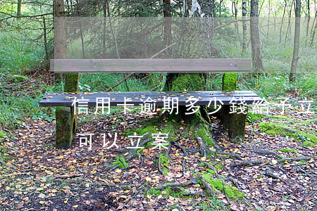 信用卡逾期多少錢給予立案(欠信用卡多少錢可以立案)