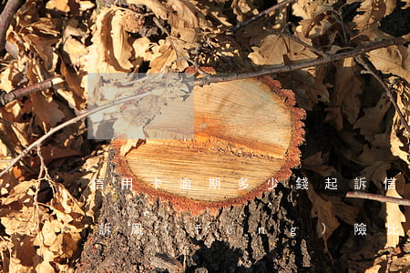 信用卡逾期多少錢起訴(信用卡逾期多少錢起訴風(fēng)險比較大)