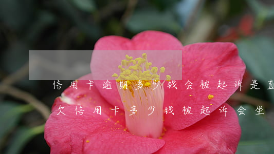 信用卡逾期多少钱会被起诉是直接法院通知(欠信用卡多少钱被起诉会坐牢)
