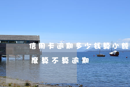信用卡逾期多少钱算小额(信用卡还款最小额度算不算逾期)