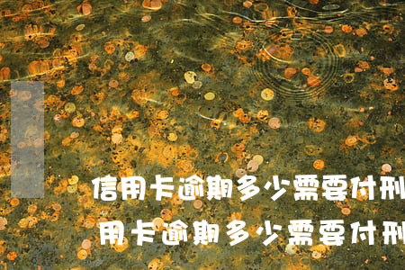 信用卡逾期多少需要付刑事責(zé)任(信用卡逾期多少需要付刑事責(zé)任)