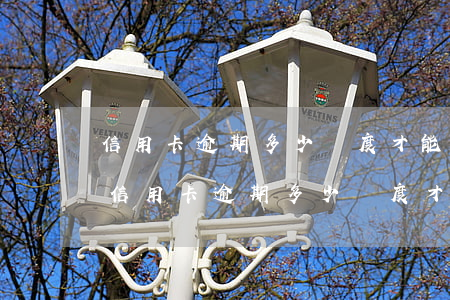 信用卡逾期多少額度才能辦理60期分期-信用卡逾期多少額度才能辦理60期分期還款