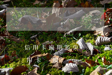 信用卡逾期多少額度會被起訴(逾期會影響信用卡額度嗎?)