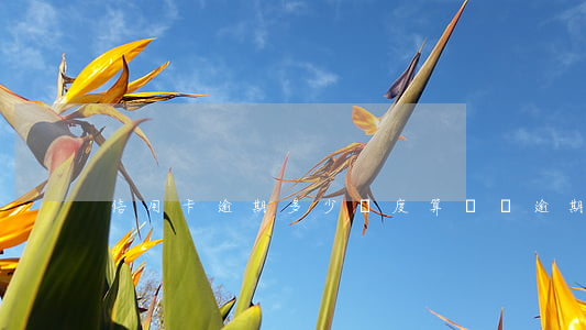 信用卡逾期多少額度算詐騙(逾期算詐騙嗎)