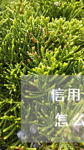 信用卡逾期多年以后還-逾期很久的信用卡怎么還款
