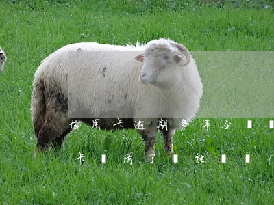 信用卡逾期多年全額還清后(逾期很久的信用卡還清了還能繼續(xù)用嗎?)