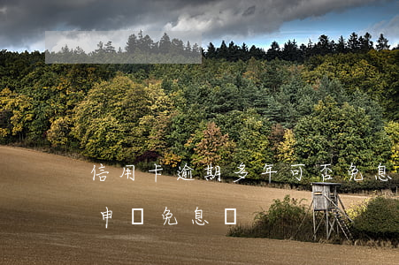 信用卡逾期多年可否免息(信用卡逾期了可以申請免息嗎?)