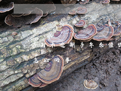 信用卡逾期多年未催收(信用卡逾期不催收了怎么回事)