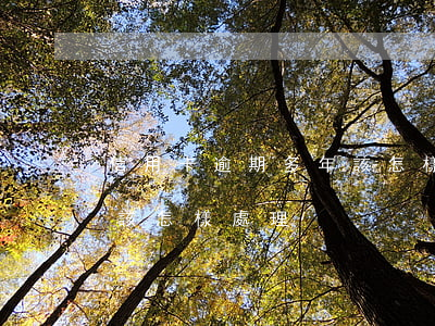 信用卡逾期多年該怎樣處理(信用卡逾期多年該怎樣處理)