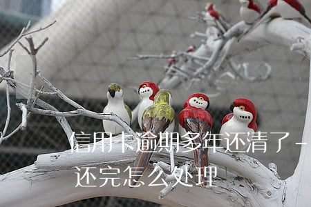 信用卡逾期多年还清了-逾期几年的信用卡还完怎么处理