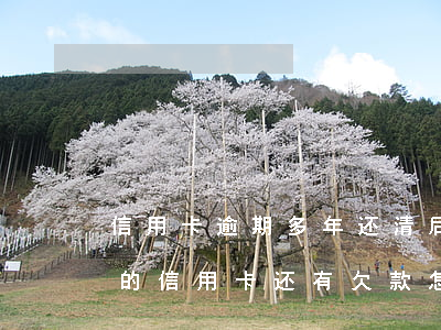 信用卡逾期多年还清后销卡没销户(已经销户的信用卡还有欠款怎么还)