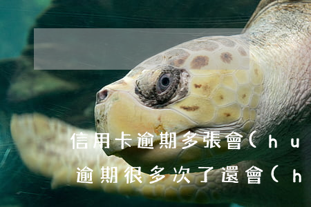 信用卡逾期多張會(huì)怎么樣(信用卡逾期很多次了還會(huì)有影響嗎)