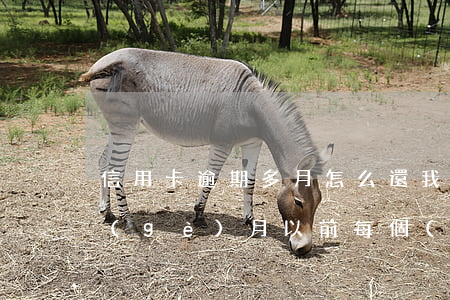 信用卡逾期多月怎么還 我信用卡逾期了幾個(gè)月以前每個(gè)月都還一點(diǎn)