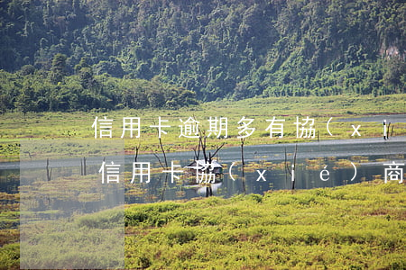 信用卡逾期多有協(xié)商成功的嗎(跟信用卡協(xié)商成功后又逾期了)