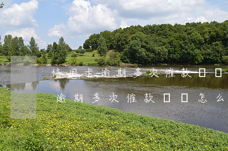 信用卡逾期多次催款沒還怎么找單-信用卡逾期多次催款沒還怎么找單位解決