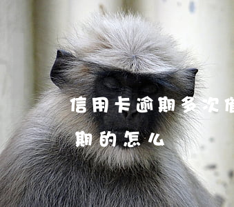 信用卡逾期多次催還怎么辦(這么多信用卡逾期的怎么辦)
