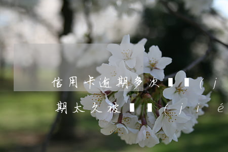 信用卡逾期多次凍結(jié)了(信用卡逾期太久被凍結(jié)怎么辦)