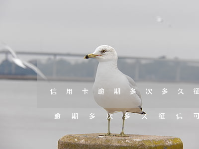 信用卡逾期多次多久征信可以消除-信用卡逾期多次多久征信可以消除記錄