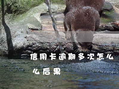 信用卡逾期多次怎么辦(信用卡逾期多次有什么后果)