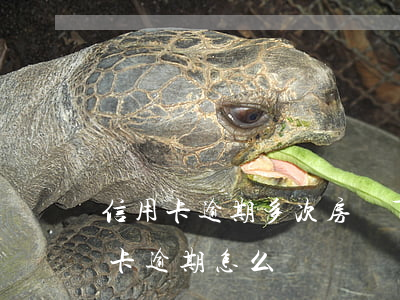 信用卡逾期多次房貸下不來(買房貸款有信用卡逾期怎么辦)