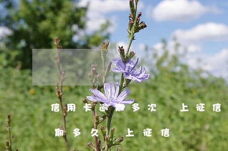 信用卡逾期多次會上征信嗎(貸款和信用卡逾期多久會上征信)